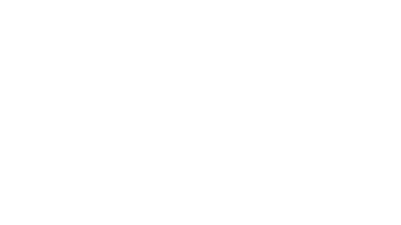 logo of skill plan logo